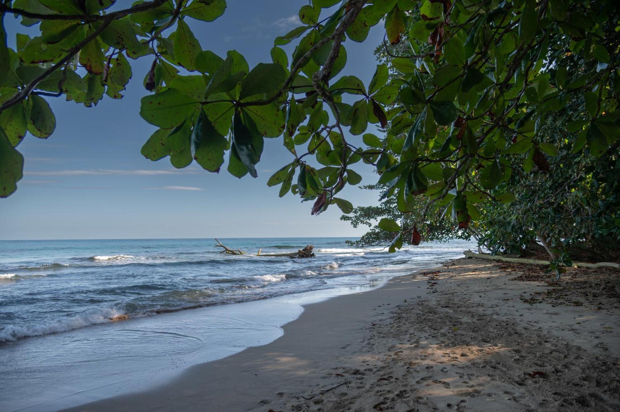 Hotel Le Cameleon Boutique Puerto Viejo de Talamanca